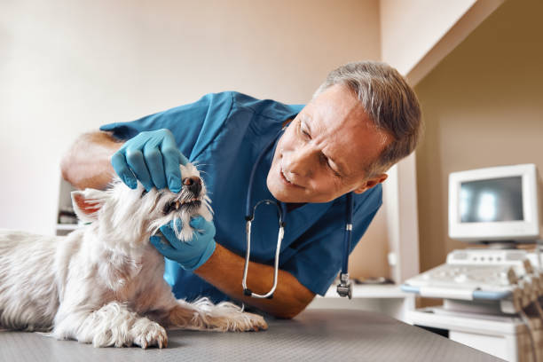 Best Pediatric Emergency Dentist in Winfield, KS
